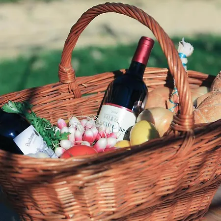 Stunning In St Antoine De Breuilh Semesterbostad Saint-Antoine-de-Breuilh